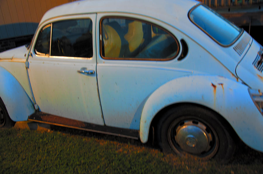 Car Photograph - Plain Old Bug by Affini Woodley