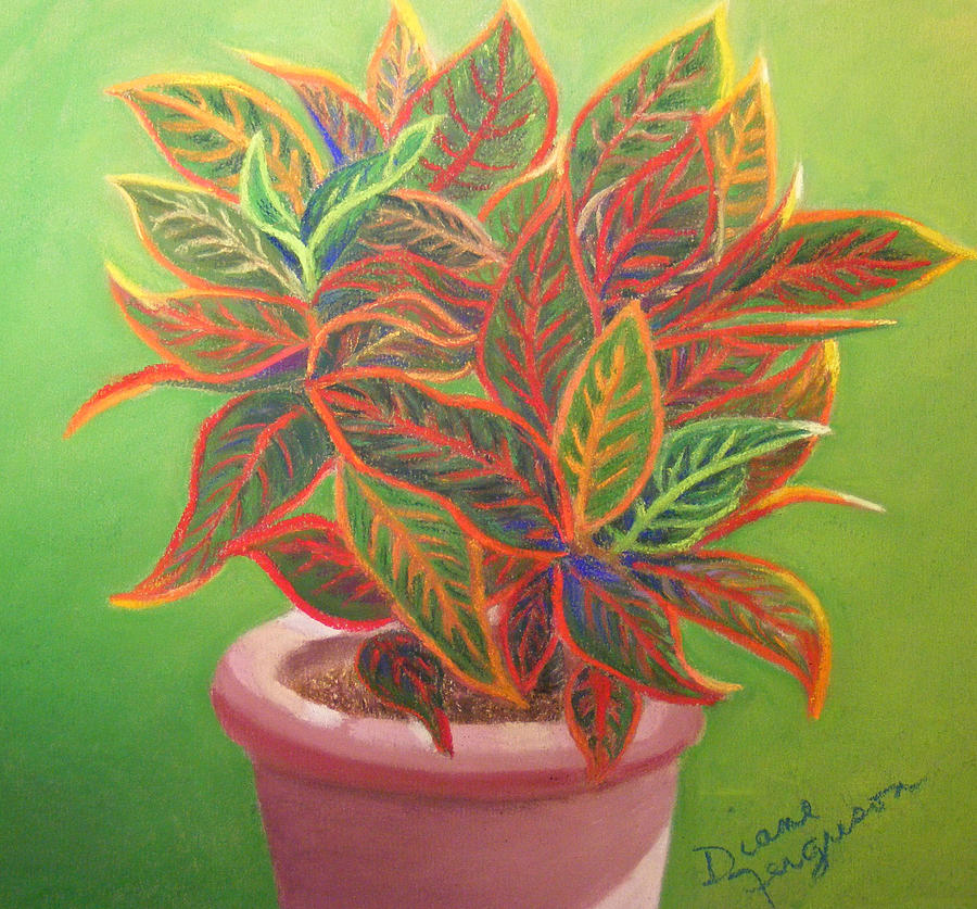 Plant Portrait II Pastel by Diane Ferguson