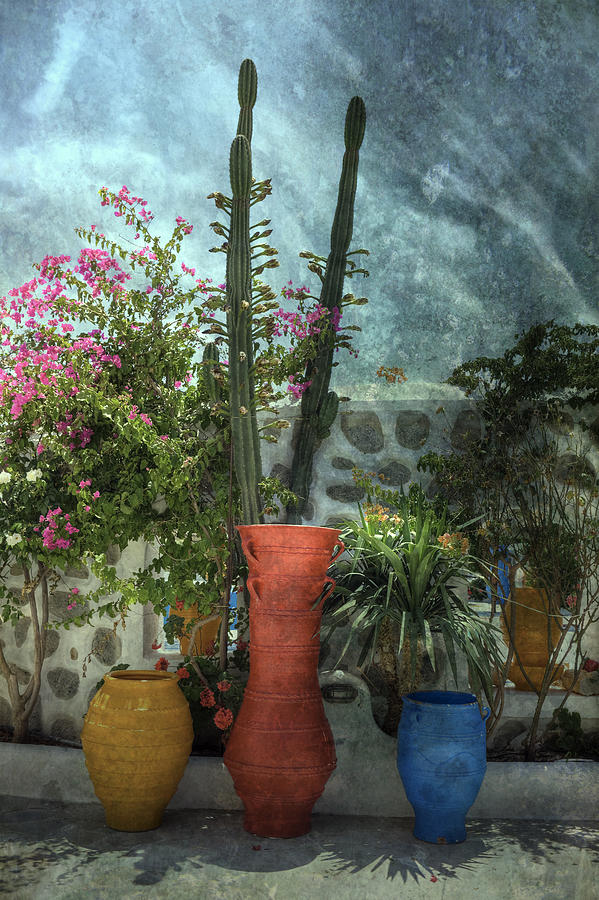 Flowers Still Life Photograph - Plants by Joana Kruse