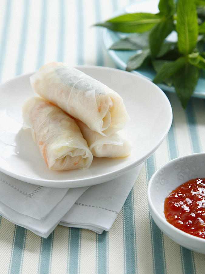 Plate Of Salad Rolls And Sauce Photograph by Cultura/BRETT STEVENS