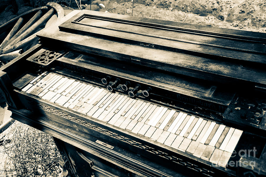 Music Photograph - Play Me a Tune by Christina Klausen