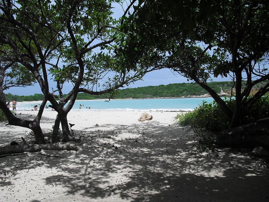Playa Sucia Photograph by Melissa Torres