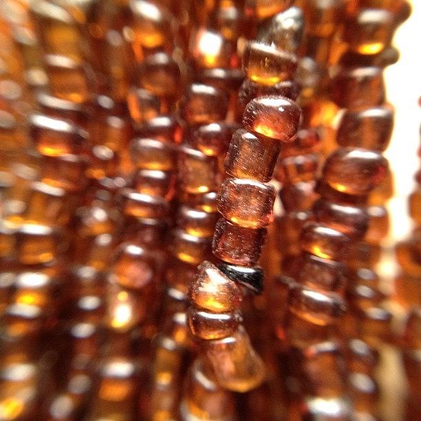 Macro Photograph - Playing With A Phone Macro Lens - Not by Elizabeth Fitzgerald