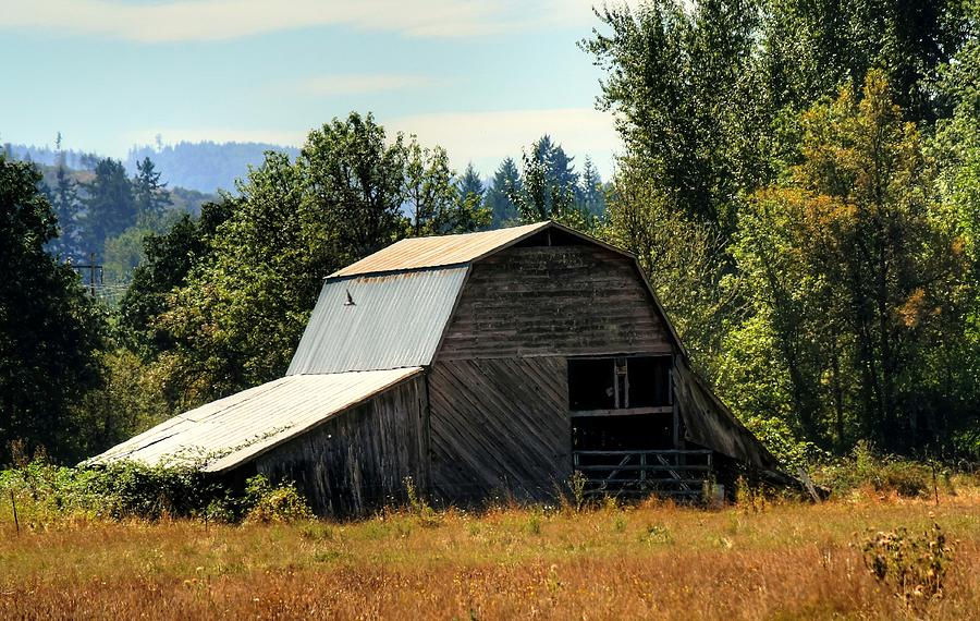 Pleasant Hill Barn Photograph by Chris Anderson