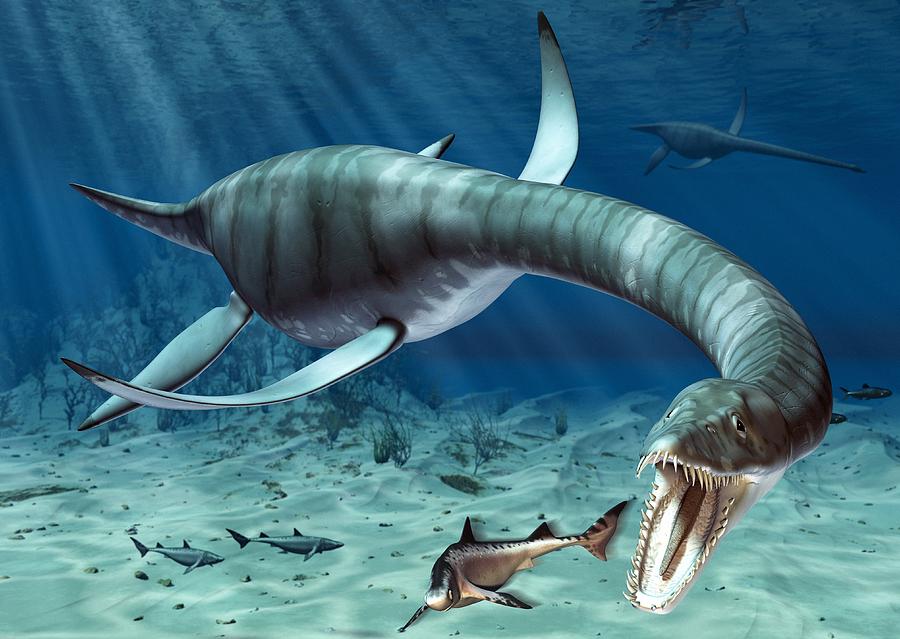 Plesiosaur Attack, Artwork Photograph by Roger Harris