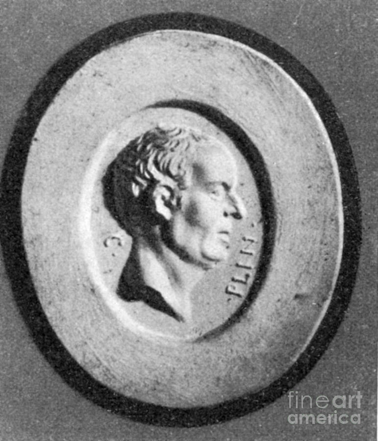 Pliny The Elder, Ancient Roman Photograph by Science Source