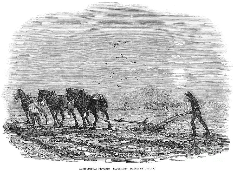 Ploughing, 1846 Photograph by Granger