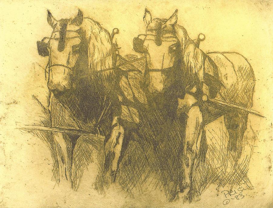 Plow Horses Drawing by Pris Hardy