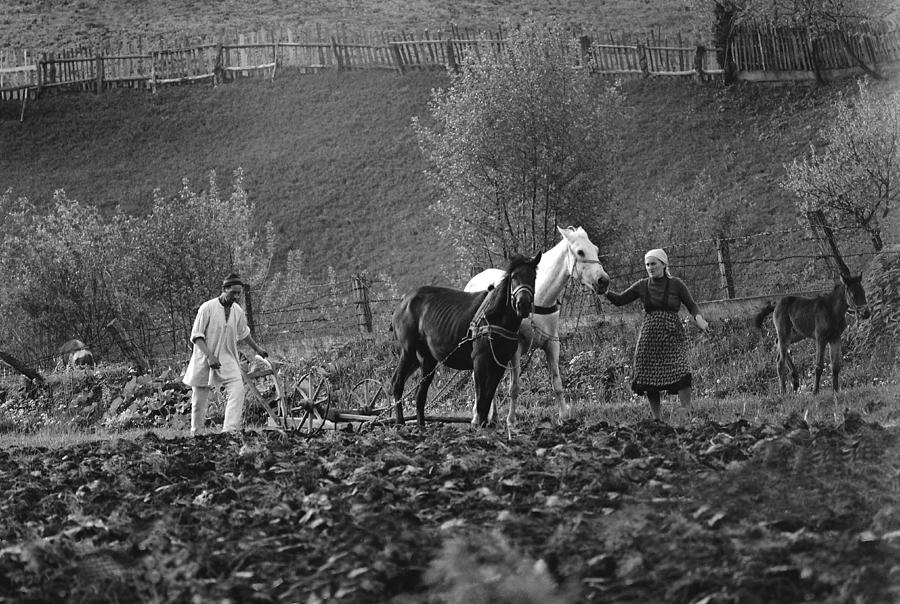 Plowing with horses Photograph by Emanuel Tanjala