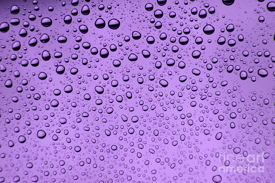 Water Photograph - Plum Abstract by Casey Hanson