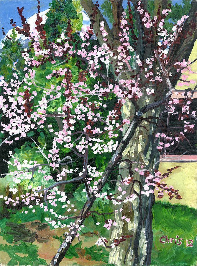 Plum Blossom Tree Painting by Christina Plichta