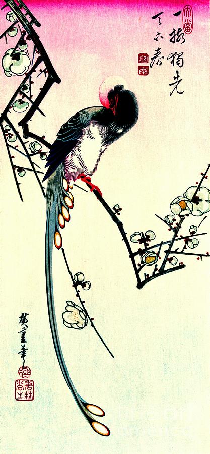 Plum Blossoms and Long-tailed Magpie 1844 Photograph by Padre Art