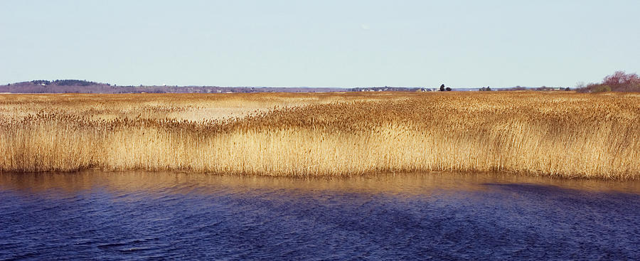 Plum Island Marsh Photograph by Frank Winters