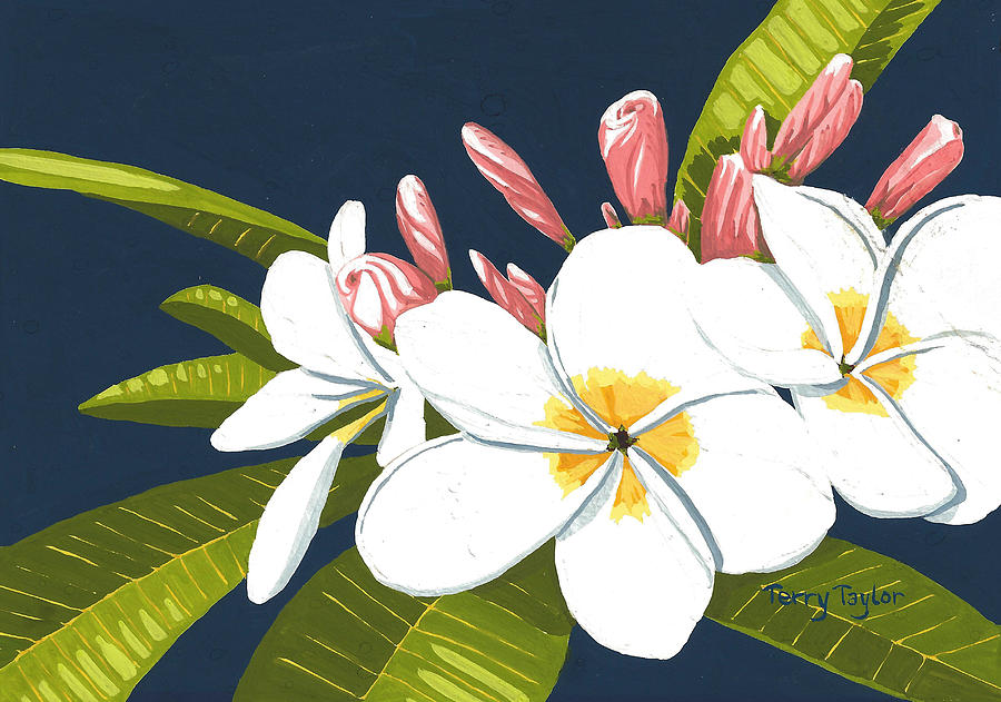 Plumeria Painting by Terry Taylor