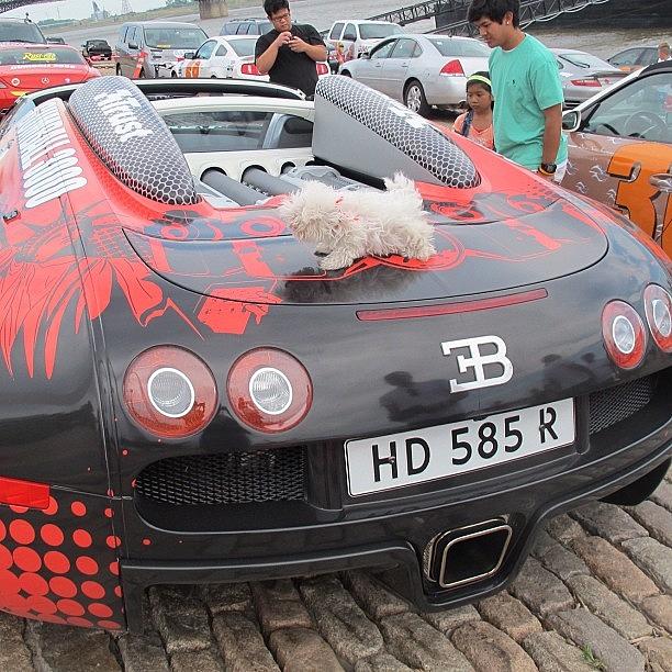 Gumball3000 Photograph - @plumeteacup Inspecting Her New Ride! by Jerome De S