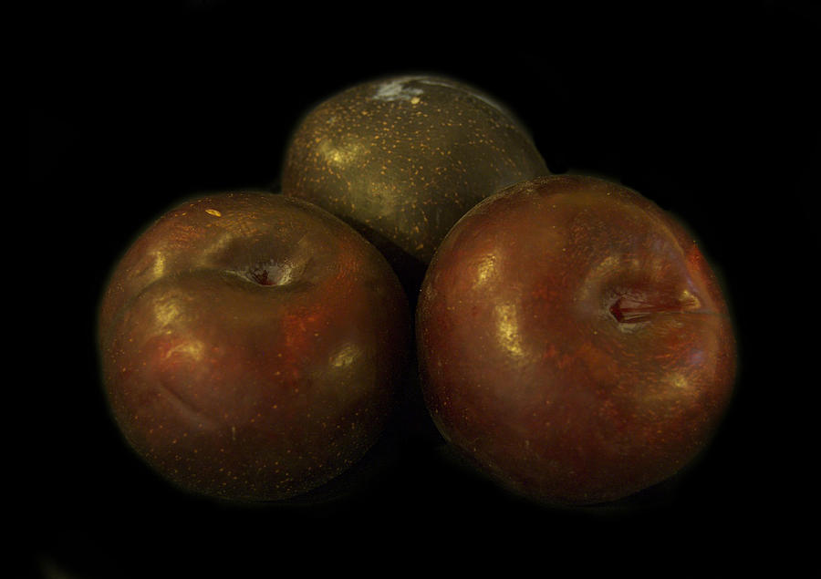 Plums Photograph by Michael Peychich