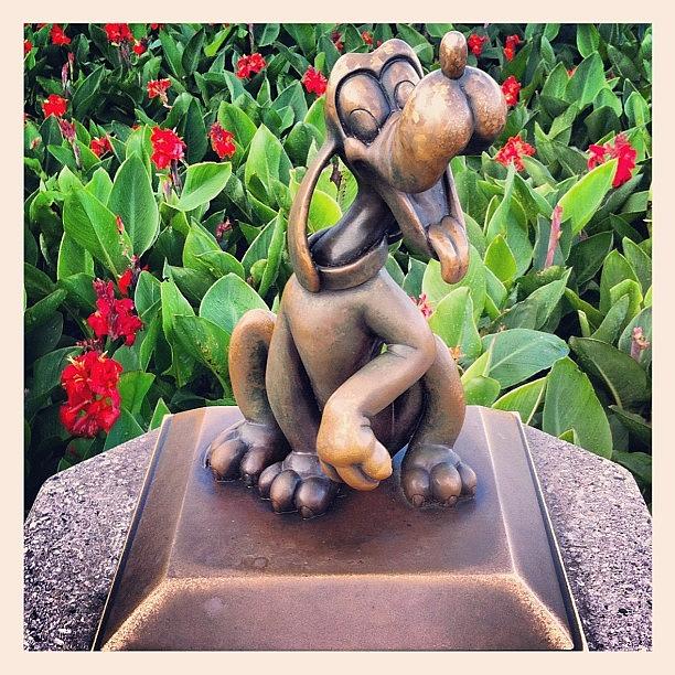 Orlando Photograph - Pluto #statue #flowers #pluto #dog by Sebastiaan Van der Graaf