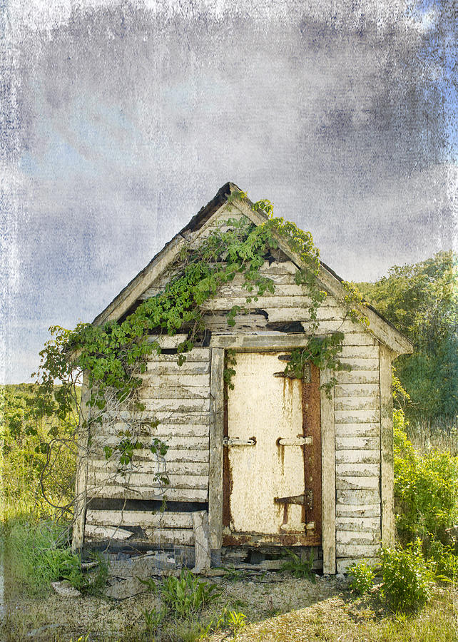 Plymouth Shed Photograph By Tonna Mcguinn - Fine Art America