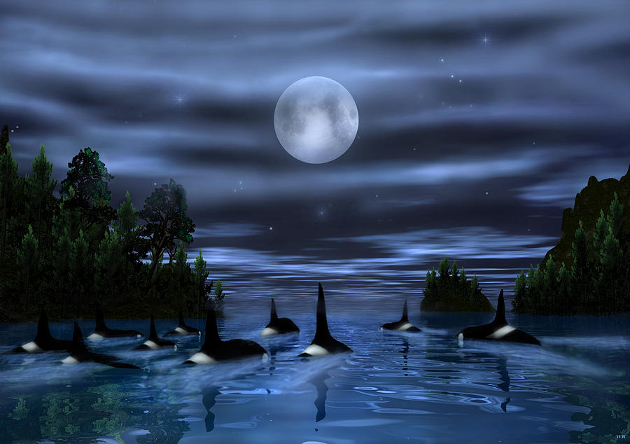 Pod of Orca Digital Art by Walter Colvin