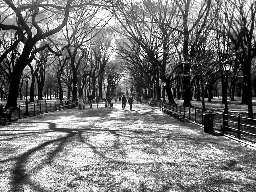 Poet's Walk Photograph by Artistic Photos - Fine Art America