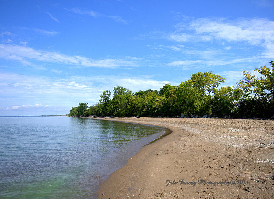 Point Pelee Beach Photograph by Jale Fancey