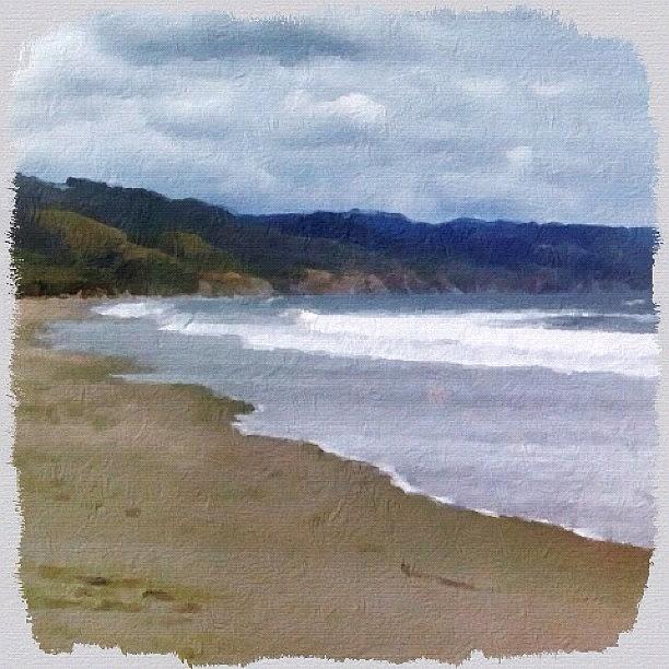 Nature Photograph - Point Reyes, California #pointreyes by Shelley Walsh