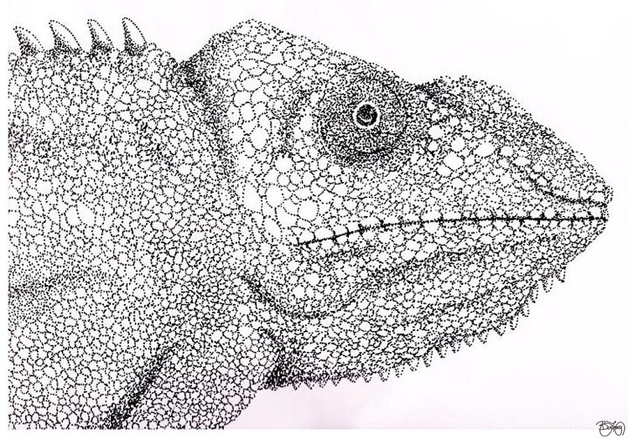 Pointillist Chameleon Drawing By Ben Leary