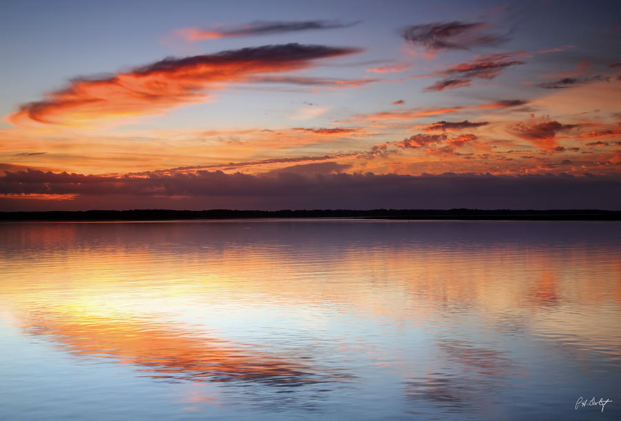 Pointing South Photograph by Phill Doherty - Fine Art America