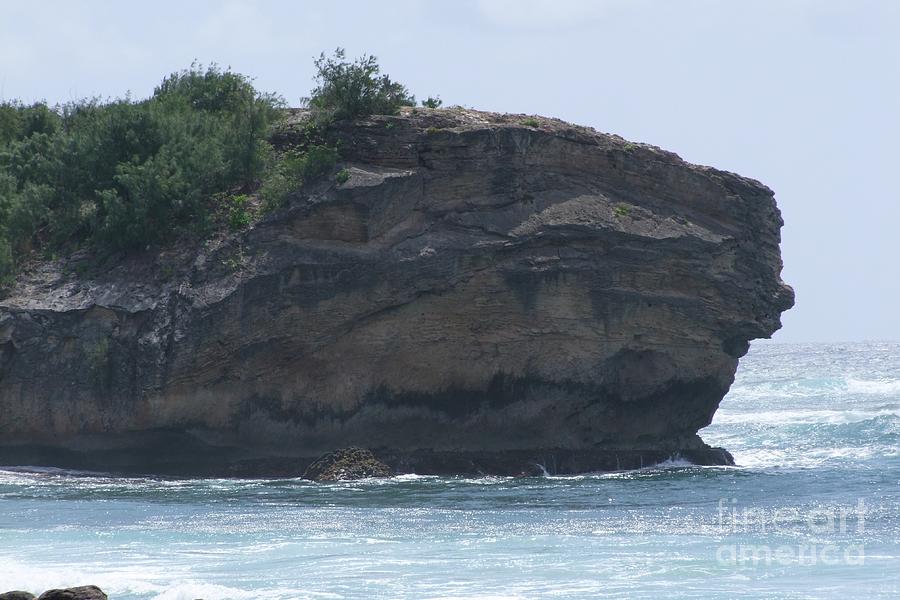 Poipu Cliff at Shipwreck Beach Photograph by Mary Deal