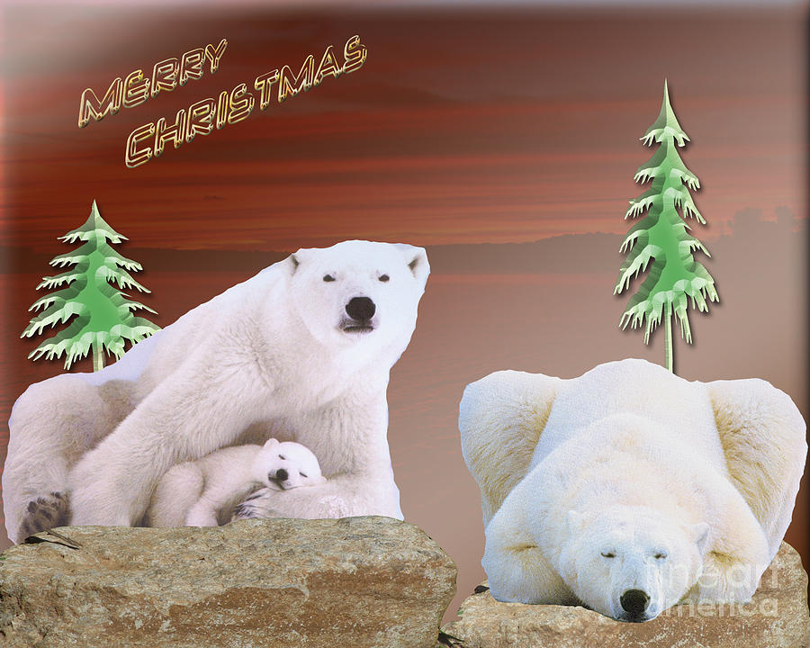Polar Bear Christmas Photograph by Donna Brown