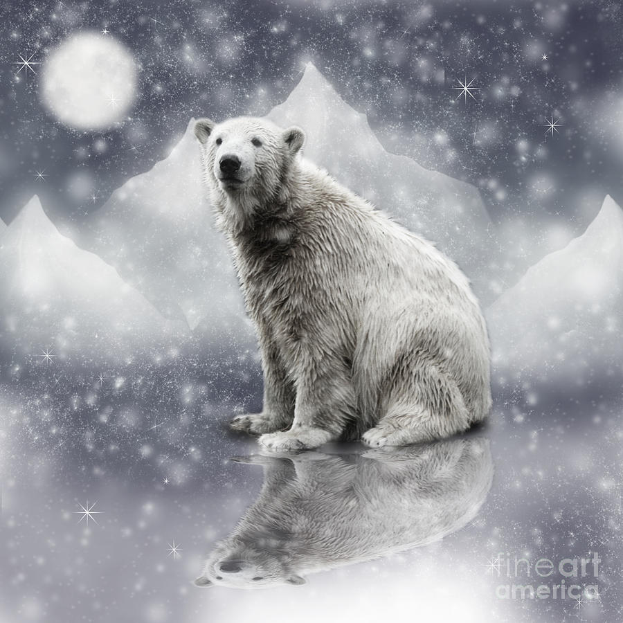 Polar Bear Sitting In The Moonlight Photograph by Ethiriel Photography
