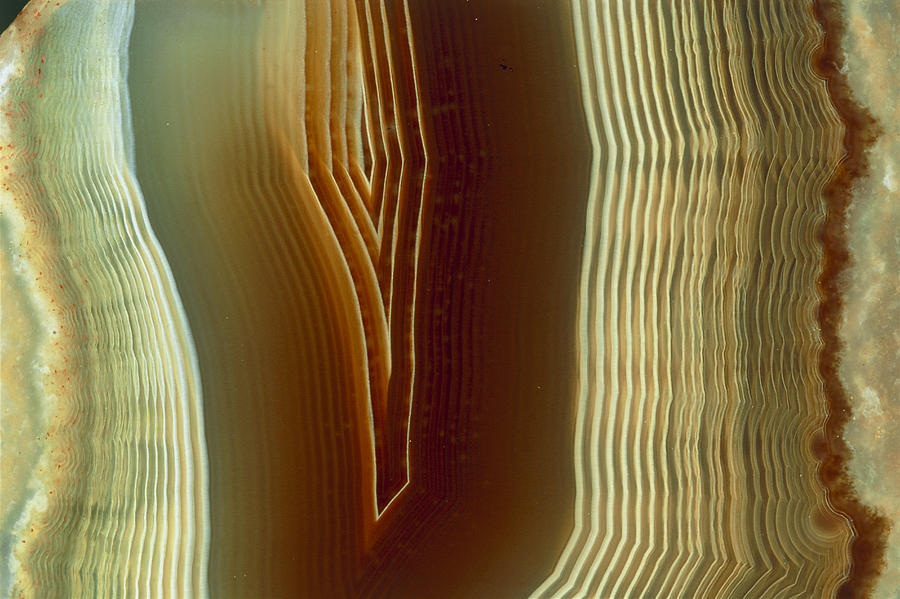 Agate Photograph - Polished Slice Of Agate by Vaughan Fleming