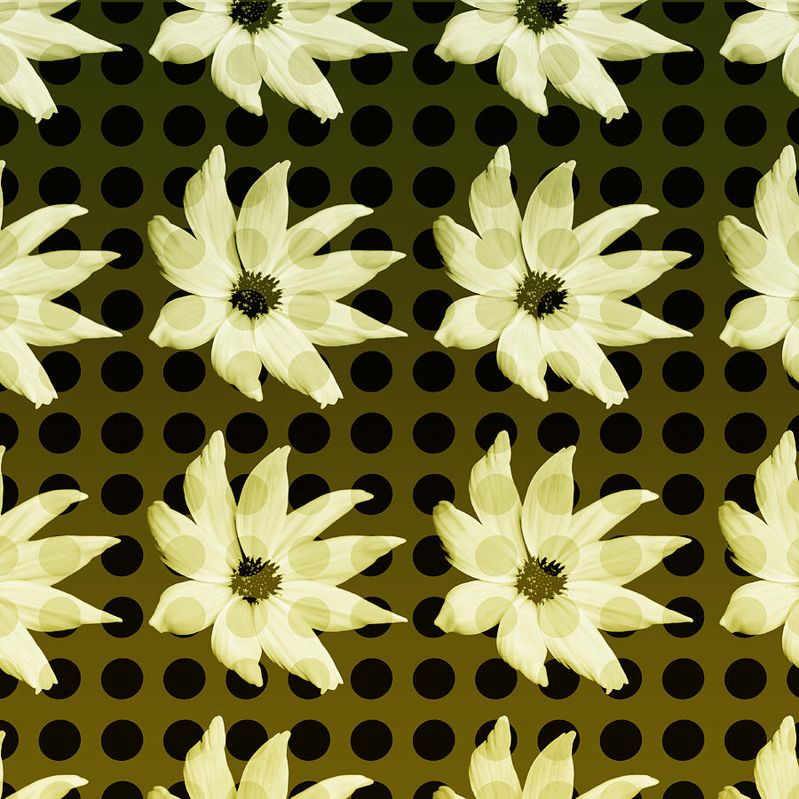 Polkadotted Daisies No.1 Photograph by Bonnie Bruno