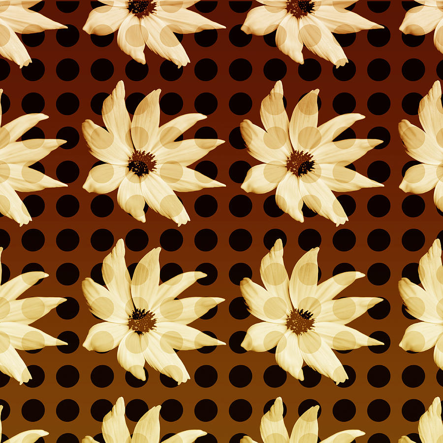 Polkadotted Daisies No.2 Photograph by Bonnie Bruno