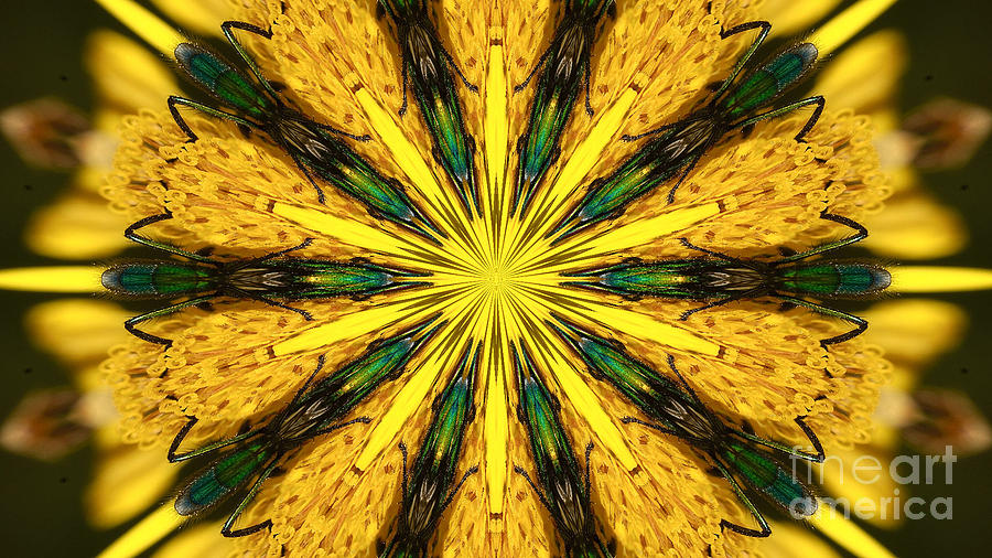 Pollination 3 Digital Art by Mareko Marciniak