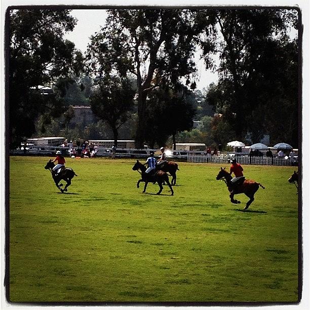 Horse Photograph - Polo At Will Rogers by Lana Rushing