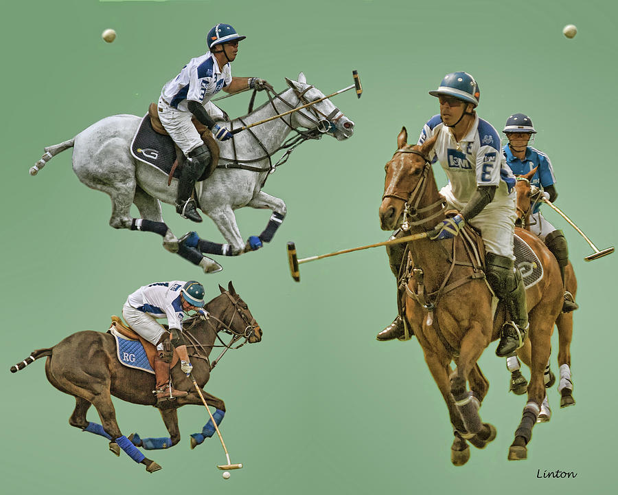 Polo Montage 3 Photograph by Larry Linton