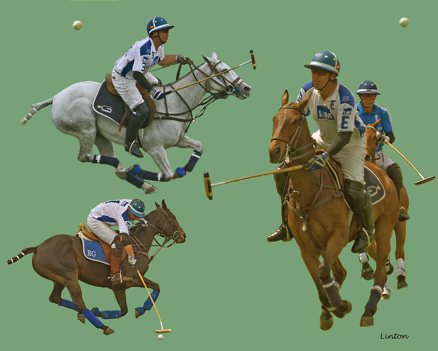 Polo Montage Photograph by Larry Linton