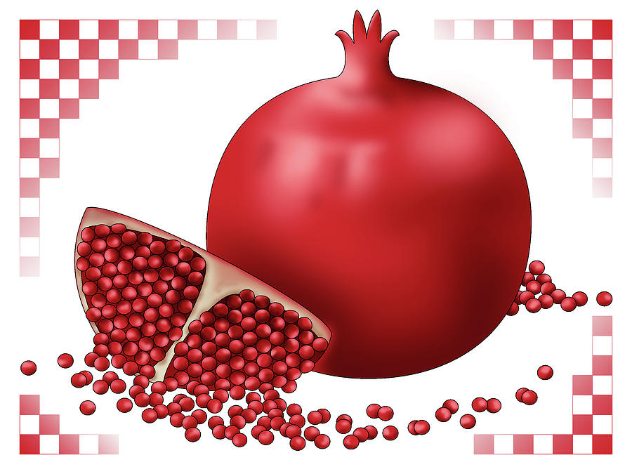 Pomegranate with Red Checks Digital Art by Alison Stein