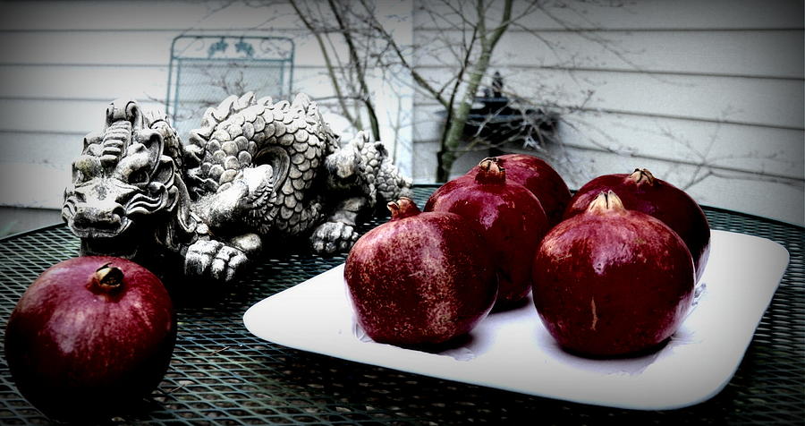 Pomegranates On White Platter 2 Photograph by Tatyana Searcy