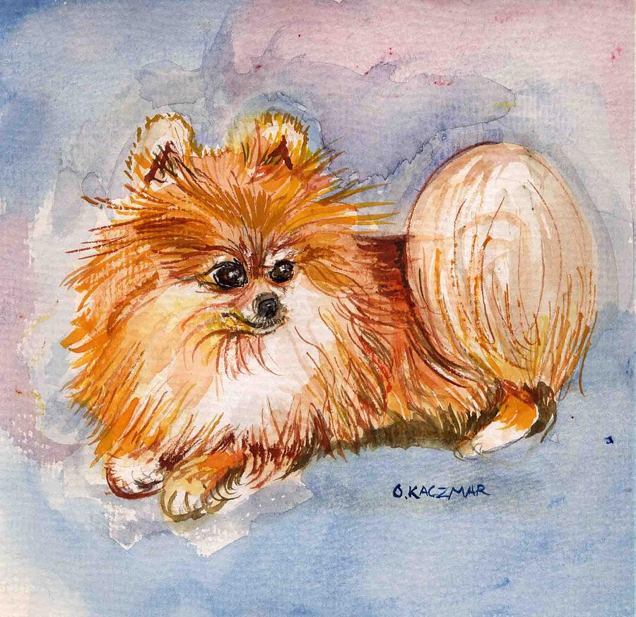Red Pomeranian Painting - Pomeranian 3 by Olga Kaczmar