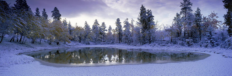 Pond And Fresh Snowfall, Near 70 Mile Photograph by David Nunuk