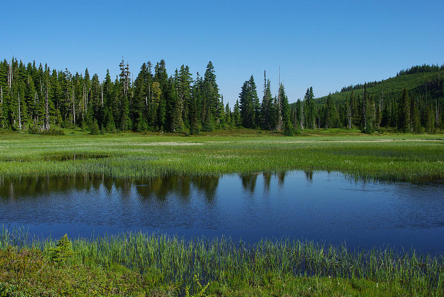 Pond at Paradise Meadows Photograph by Marilyn Wilson