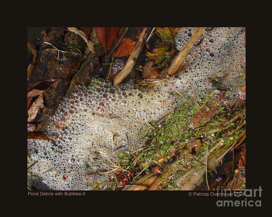Pond Debris with Bubbles-II Photograph by Patricia Overmoyer