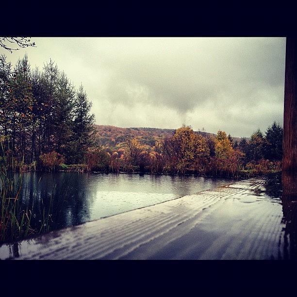 Fall Photograph - #pond #dock #fall #beautiful by Maria Sodaro