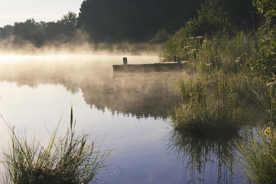 Pond In Early Morning Mist, Upper Photograph by Konrad Wothe