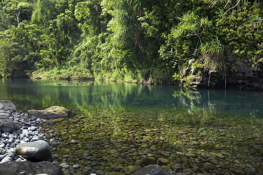 Pond near Nahiku III Photograph by Jenna Szerlag