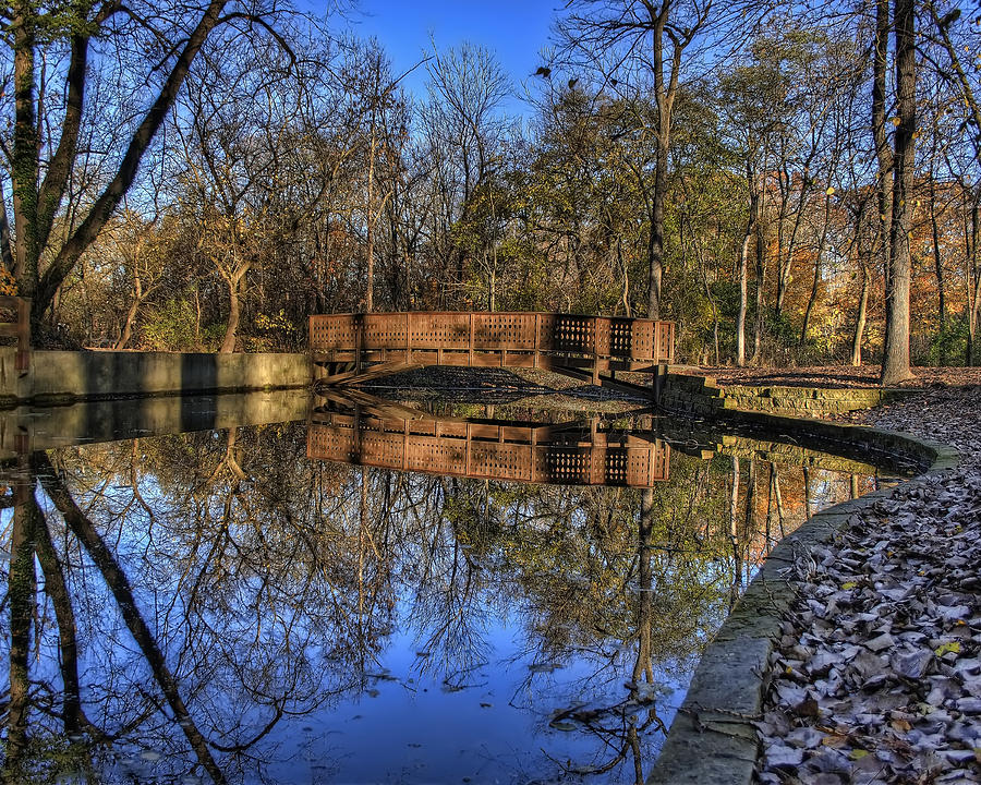 Pond Reflections Photograph by Scott Wood
