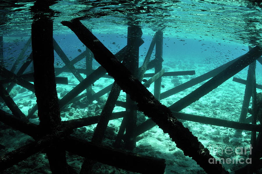 Support Photograph - Pontoon underwater by Sami Sarkis