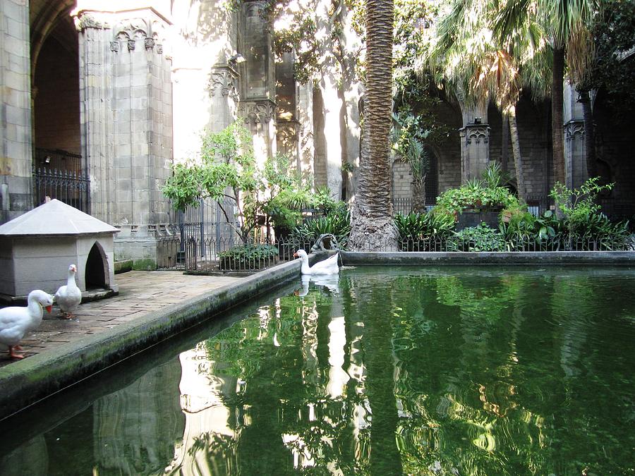 Pool Reflection With Ducks in the Courtyard Barcelona Spain Photograph by John Shiron